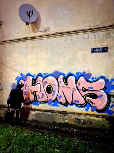 Photo #232346 by Homs