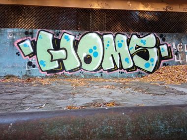 Photo #236078 by Homs