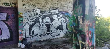 Photo #247583 by JOK