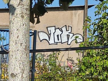 Photo #247598 by JOK