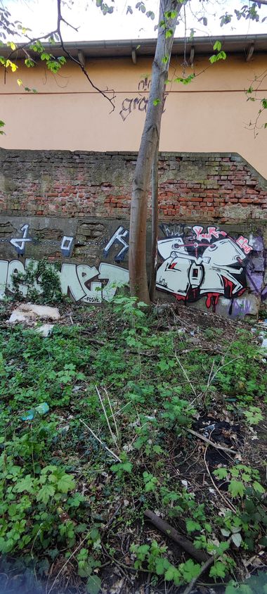 Photo #247623 by JOK