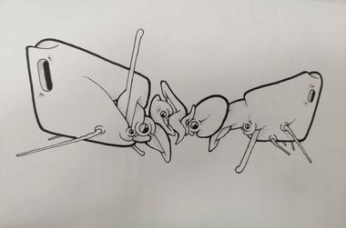 Photo #247336 by Kilo1