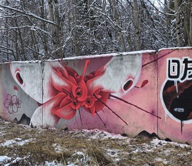 Photo #247419 by Kilo1