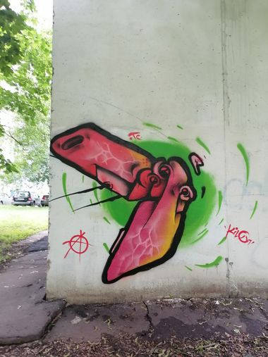 Photo #245586 by Kilo1