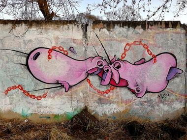 Photo #247331 by Kilo1