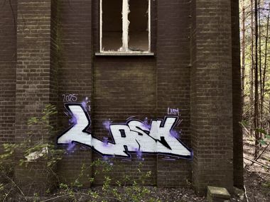 Photo #246075 by Lasher