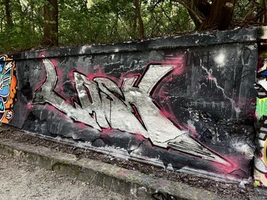 Photo #246081 by Lasher