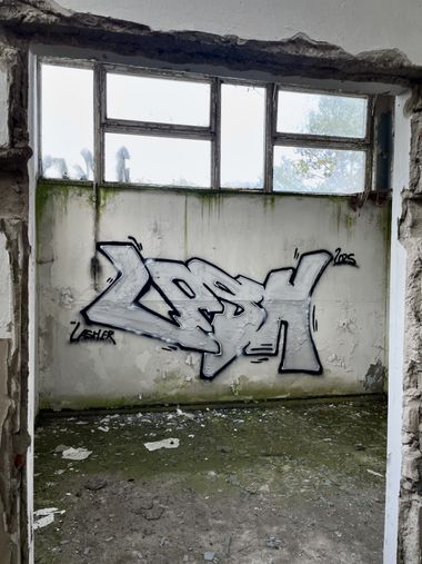 Photo #247307 by Lasher