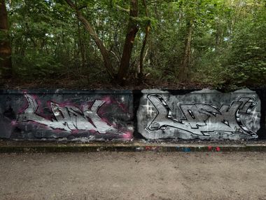 Photo #246100 by Lasher