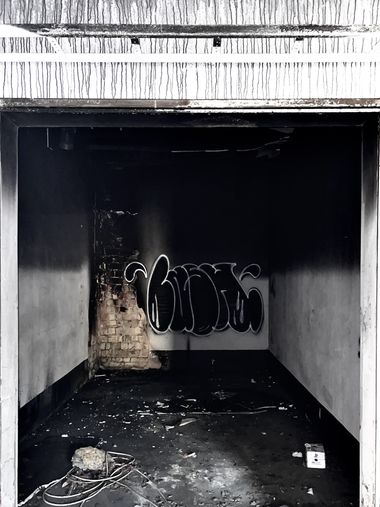 Photo #247315 by Lasher