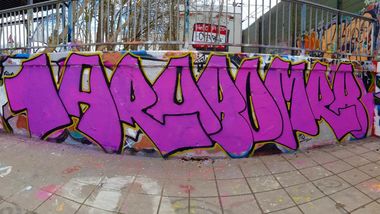 Photo #228311 by MRB