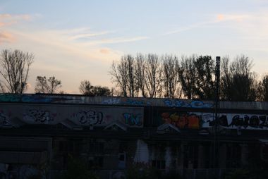 Photo #71492 by Manfredkarlheinz