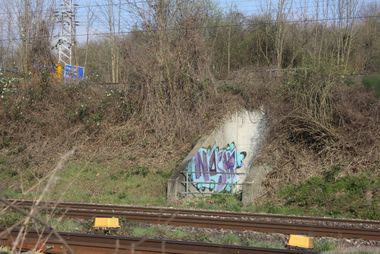 Photo #79040 by Manfredkarlheinz
