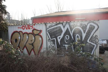 Photo #79044 by Manfredkarlheinz