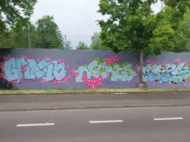 Photo #245551 by Meckes