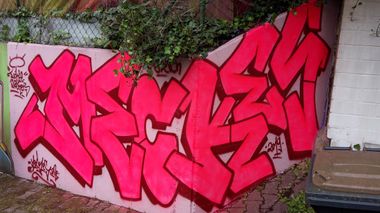 Photo #230100 by Meckes