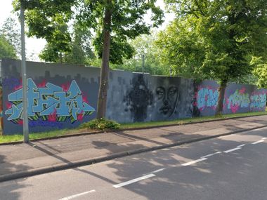 Photo #245552 by Meckes