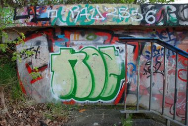 Photo #147402 by NOIIO3