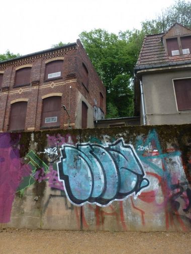 Photo #147308 by NOIIO3