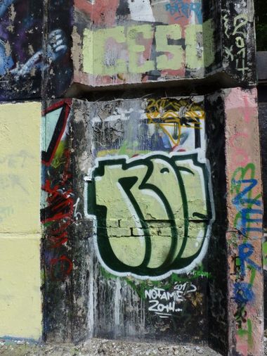 Photo #147309 by NOIIO3