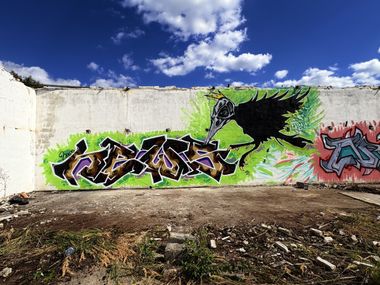 Photo #246352 by Newsu