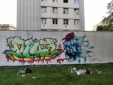 Photo #95262 by Pius