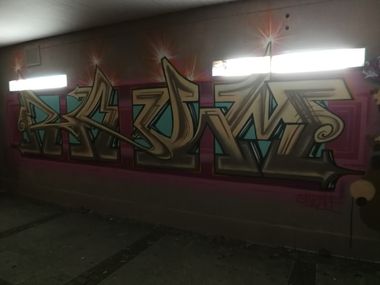 Photo #229186 by RAUM