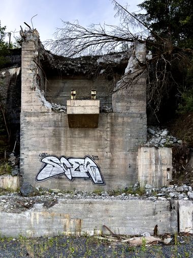 Photo #245602 by SCER