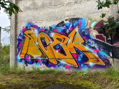 Photo #245824 by SCER