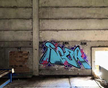 Photo #245828 by SCER