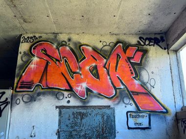 Photo #245902 by SCER