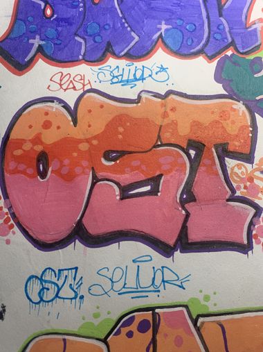 Photo #246225 by Sewor