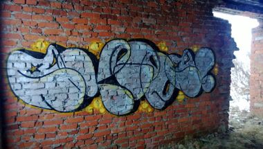 Photo #62013 by Skips