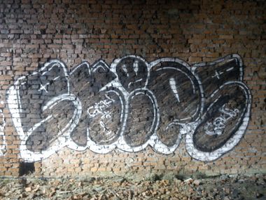 Photo #62016 by Skips