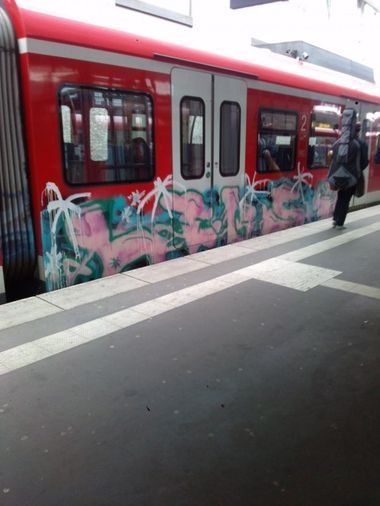 Photo #150010 by TagHagel