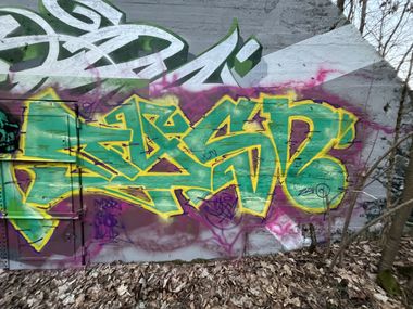 Photo #245232 by Tysn