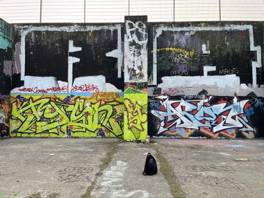 Photo #245226 by Tysn