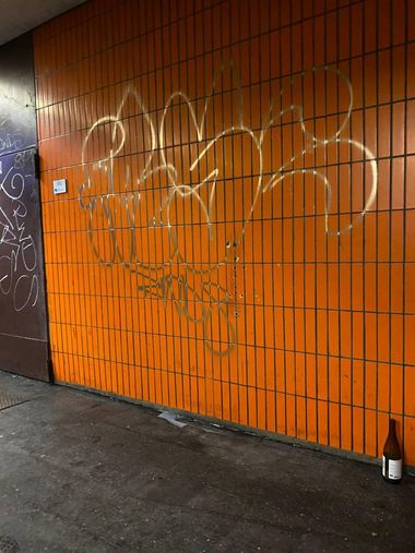 Photo #245219 by Tysn