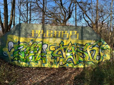 Photo #247656 by Tysn