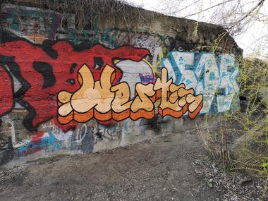 Photo #233122 by West