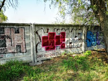 Photo #233132 by West