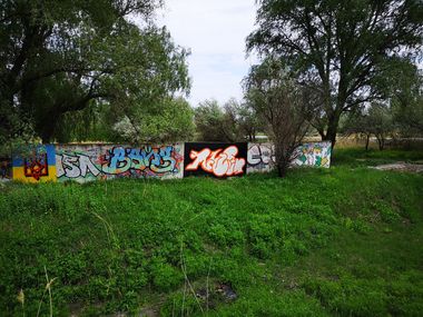 Photo #233133 by West