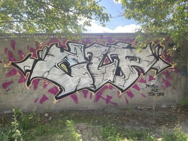 Photo #246966 by dirtistajl