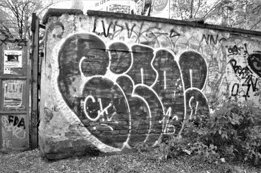 Photo #219585 by dirtyartterror