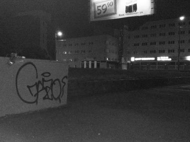 Photo #193309 by gazon1