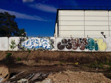 Photo #209651 by gazon1