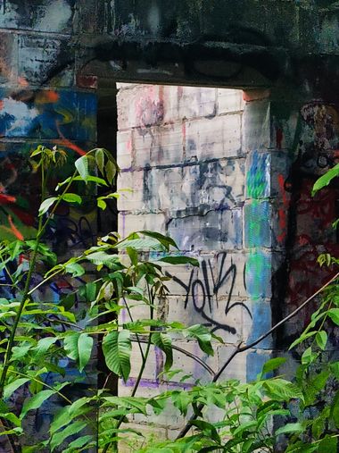 Photo #245518 by inspektoruchu