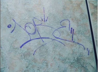 Photo #247521 by iobe1