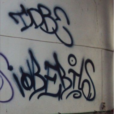 Photo #246209 by iobe1