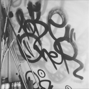 Photo #247405 by iobe1